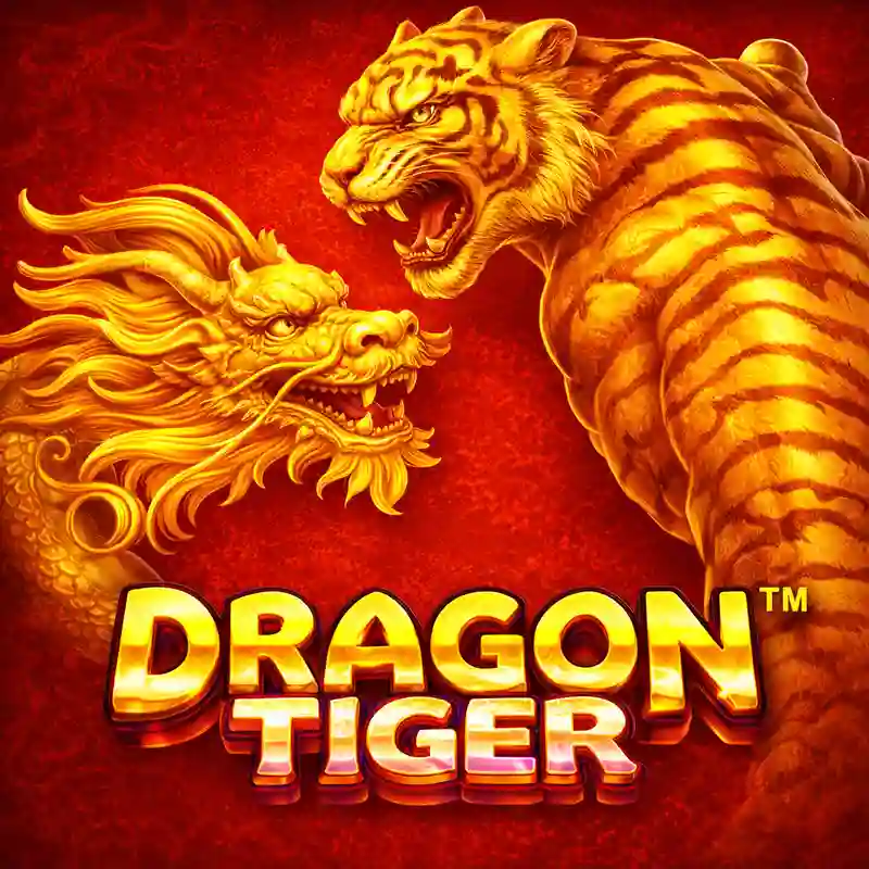 The Dragon Tiger Casino Game Interface